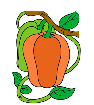 Capsicum1 Coloring Pages