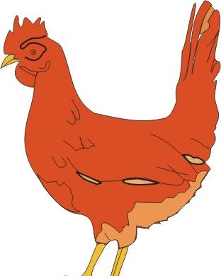 Chicken Coloring Pages