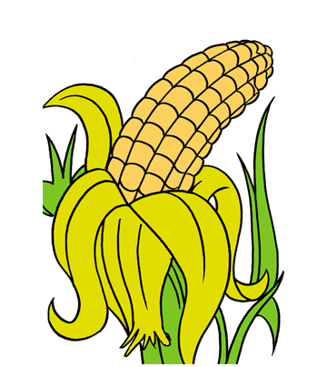 Corn1 Coloring Pages