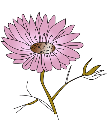 Cosmos Coloring Pages