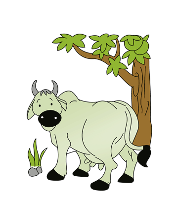 Old Cow Coloring Pages