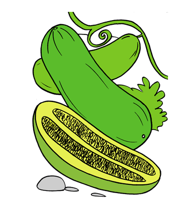 Cucumber2 Coloring Pages