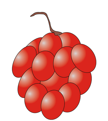 Currant Coloring Pages