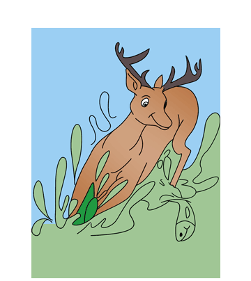 Cute Deer Coloring Pages