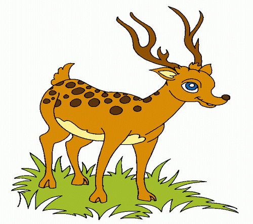 Deer In Jungle Coloring Pages