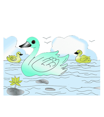 Duck In Water Coloring Pages