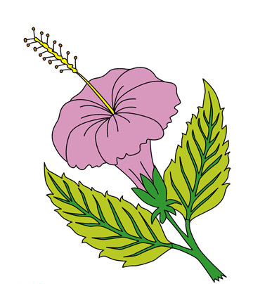 Pink-flower Coloring Pages