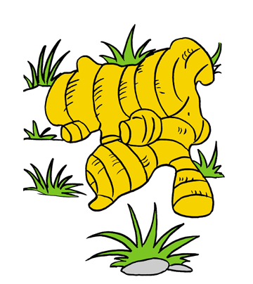 Ginger1 Coloring Pages