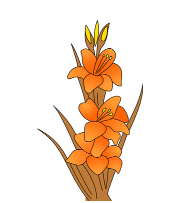 Gladiolus Coloring Pages