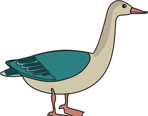 Goose Coloring Pages