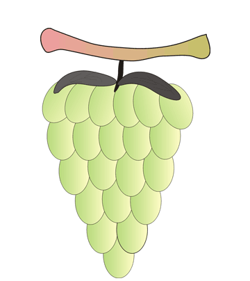 Grapes Coloring Pages