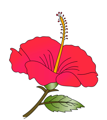 Hibiscus Coloring Pages