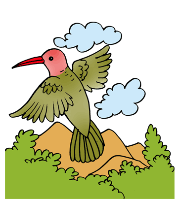 Hummingbird 1 Coloring Pages