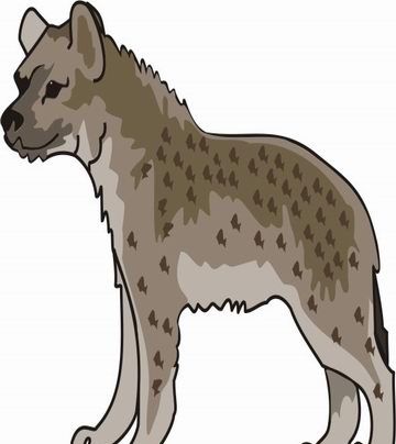 Hyena Coloring Pages