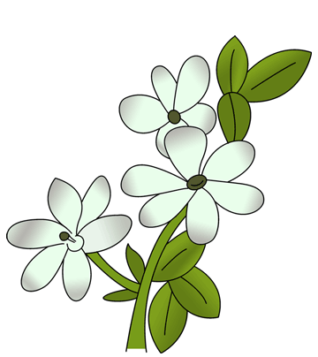 Jasmine Coloring Pages