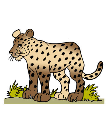 African Leopard Coloring Pages