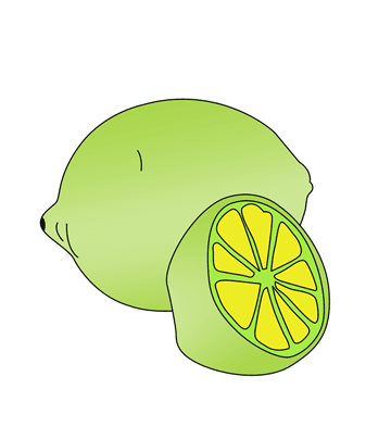 Lime Coloring Pages