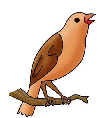 Bird Coloring Pages