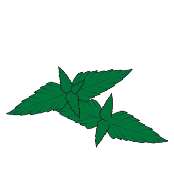 Mint Coloring Pages