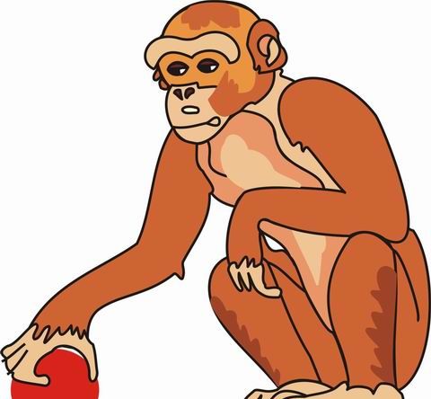 Monkey Coloring Pages