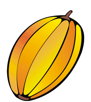 Muskmelon Coloring Pages