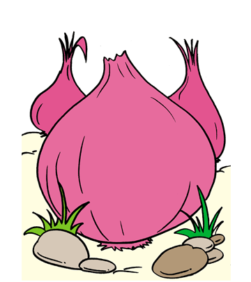 Onion1 Coloring Pages