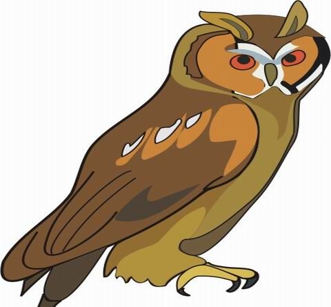 Owl Coloring Pages