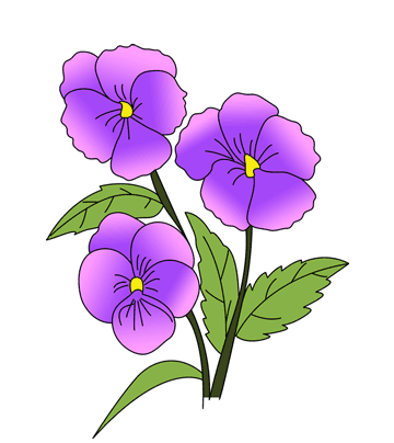 Pansy Coloring Pages