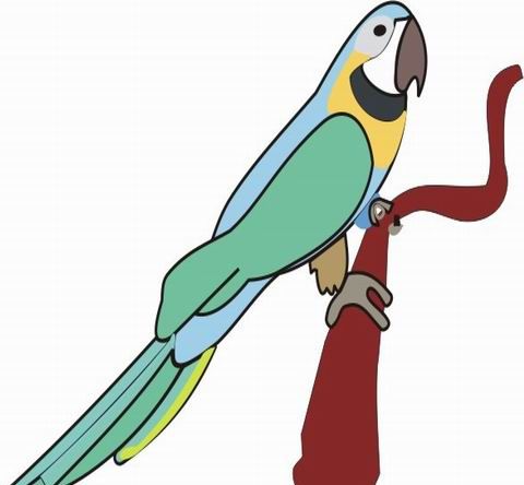 Parrot Coloring Pages