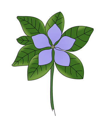 Periwinkle Coloring Pages