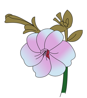 Petunia Coloring Pages