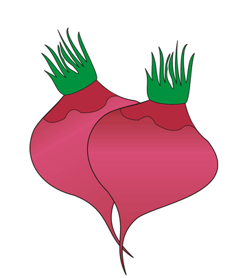 Radish Coloring Pages