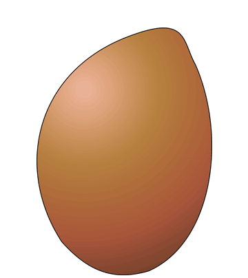 Sapodilla Coloring Pages