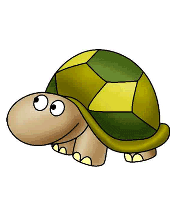 Tortoise Coloring Pages