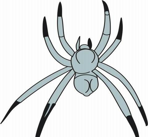 Spider Coloring Pages