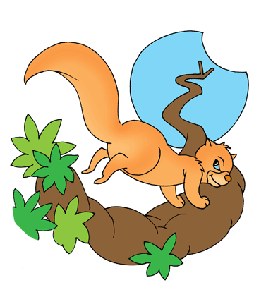 Pet Squirrel Coloring Pages