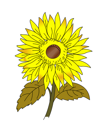 Sunflower Coloring Pages