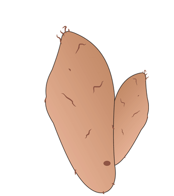 Sweet Potato Coloring Pages