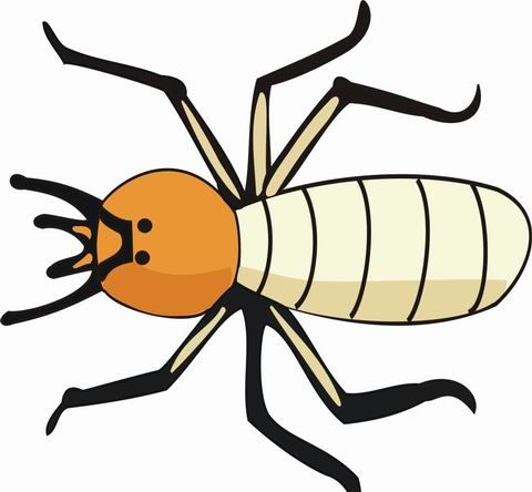 Termite Coloring Pages