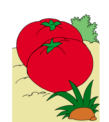 Tomato1 Coloring Pages