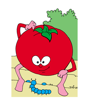 Tomato2 Coloring Pages