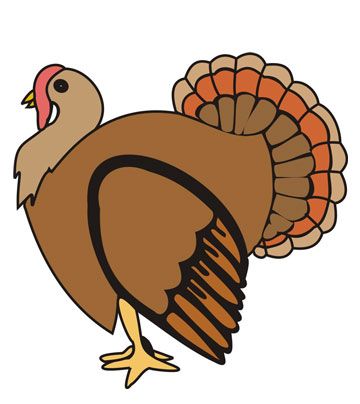 Turkey Coloring Pages