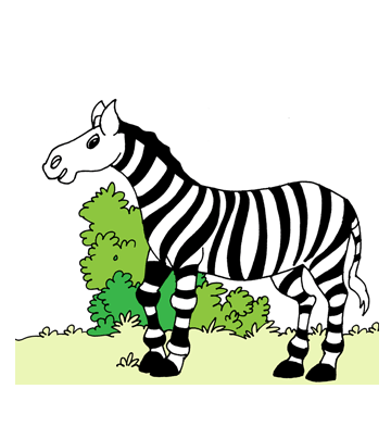 Zebras Coloring Pages