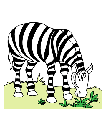 Wild Zebra Coloring Pages