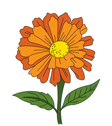 Zinnia Coloring Pages