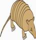 Armadillo Coloring Pages