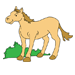 Baby Horse Coloring Pages