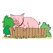 Baby Pig5 Coloring Pages