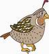 Birds Coloring Pages