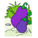 Brinjal1 Coloring Pages